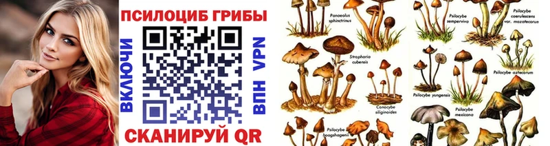 Купить где  Отрадное  Галлюциногенные грибы MAGIC MUSHROOMS 